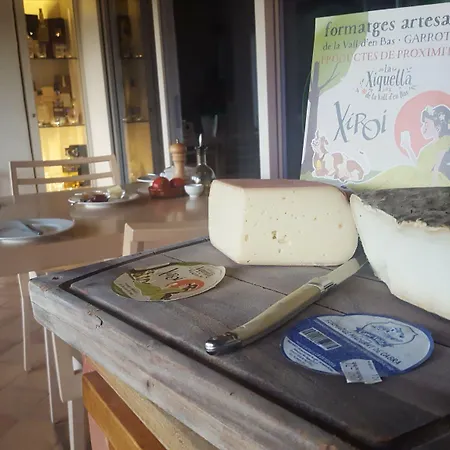 La Rectoria De Sant Miquel De Pineda Sant Felíu de Pallarols