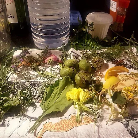 Frühstückspension La Rectoria De Sant Miquel De Pineda